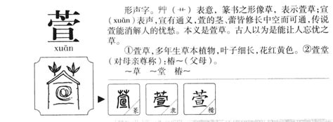 萱意思名字